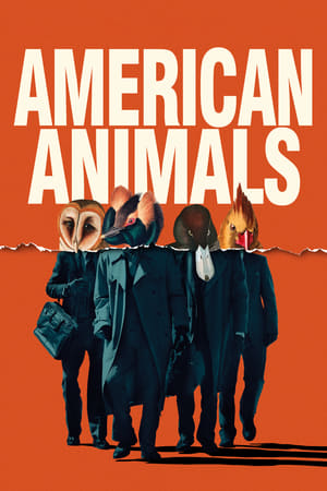 Poster American Animals 2018
