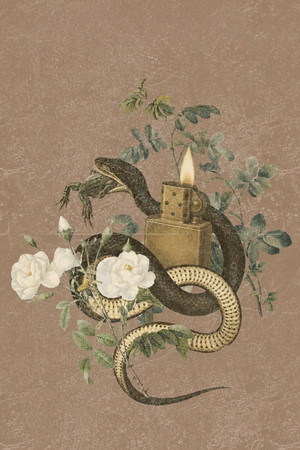 <Images posters