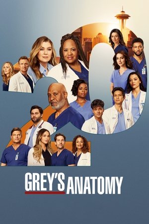 poster Grey's Anatomy