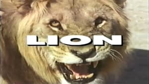 Predators of the Wild: Lion film complet