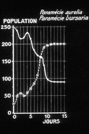 Images mathématiques de la lutte pour la vie