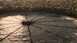 The Hunger Games: Catching Fire (2013)