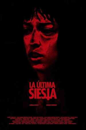 Poster La última siesta 2024