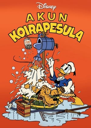 Akun koirapesula