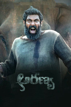 Kaadan 13