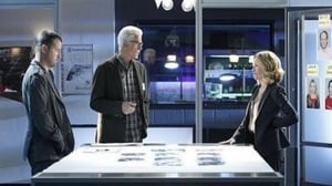 CSI: Crime Scene Investigation: 13×19