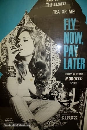 Poster Fly Now, Pay Later (1969)