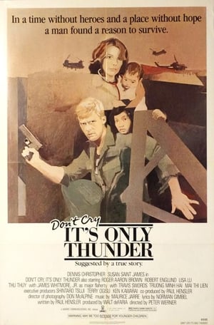 Don't Cry, It's Only Thunder film complet