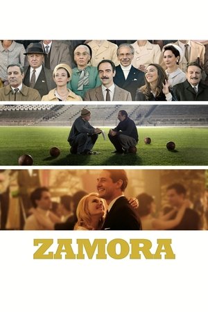 Poster Zamora 2024