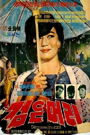 Poster Black Hair (1964)