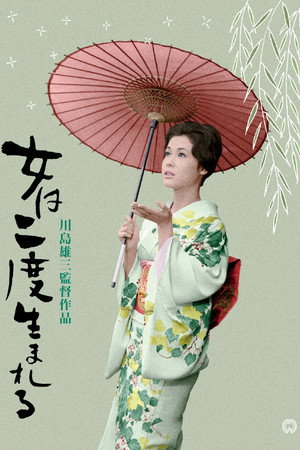 A Geisha's Diary 28