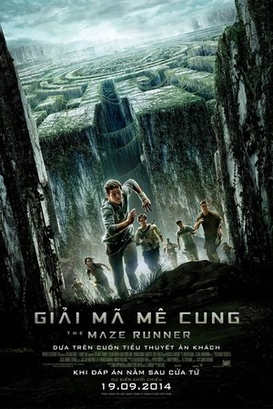 Image Giải Mã Mê Cung