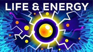 Kurzgesagt - In a Nutshell Why Are You Alive – Life, Energy & ATP