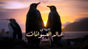 Wild Dads (2026) Full Series Download HD 720p 1080p