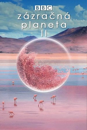 Image Zázračná planeta II