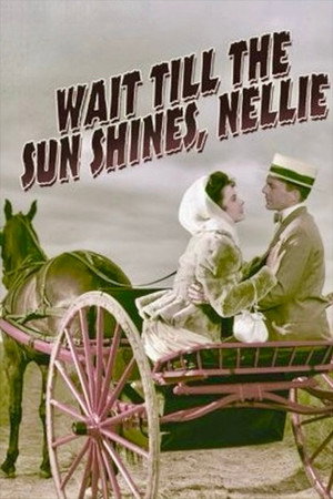 Wait Till the Sun Shines, Nellie