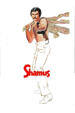 Poster Shamus 1973
