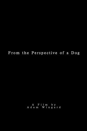 From the Perspective of a Dog