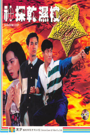 Poster 神探乾濕褸 1993