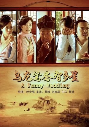 Poster A Funny Wedding (2013)