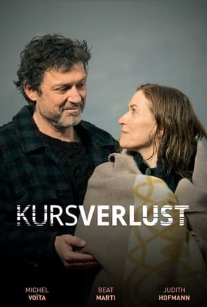 Poster Kursverlust 2013