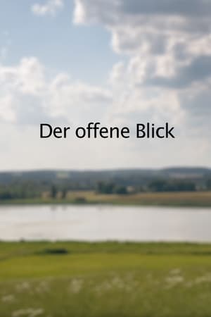 Der offene Blick (2022)