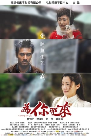 Poster 为你而来 2012