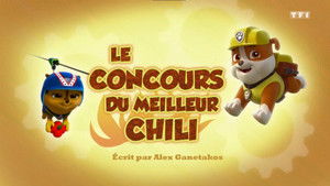 Paw Patrol Helfer auf vier Pfoten: 4×2