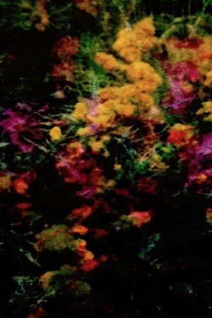 Nonton film encaustic/earth/prayer/poem (2023) terbaru sub indo Nonton film encaustic/earth/prayer/poem (2023) terbaru sub indo