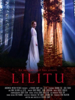 Poster Lilitu (2015)