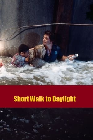 pelicula Short Walk to Daylight (1972)