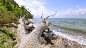 Wild Baltic Sea From Denmark to Latvia