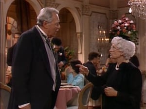 The Golden Girls The Mangiacavallo Curse Makes A Lousy Wedding Present