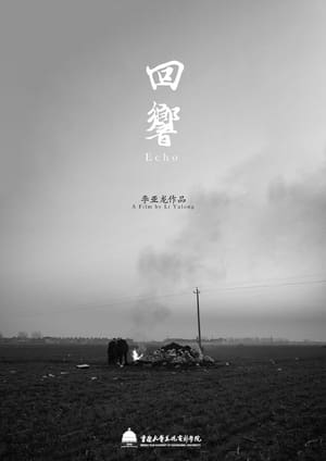 Poster 回響 (2024)