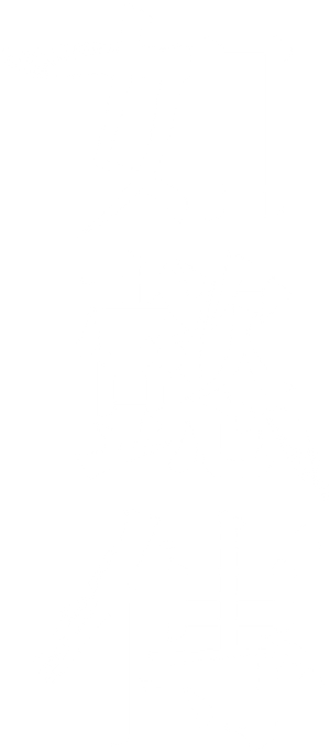 Ruyi's Royal Love in the Palace — Logos 5