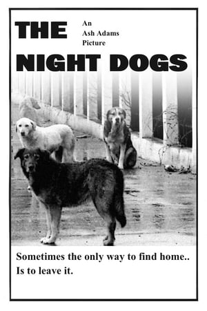 Poster The Night Dogs ()