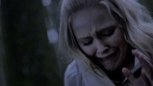 La foresta dei suicidi – Grave Halloween