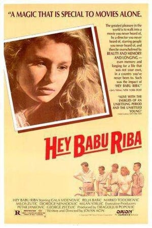 Poster Hey Babu Riba 1985
