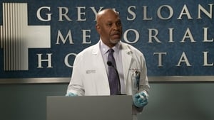 Anatomia de Grey (14×20) Capitulo 20 Temporada 14 Online