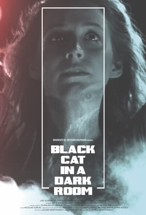 Poster Black Cat in a Dark Room (2019)