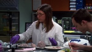 The Big Bang Theory: Stagione 4 x Episodio 10