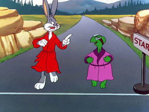 Rabbit Transit still