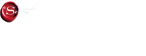 The Secret: La forza di sognare (2020) Streaming official logo
