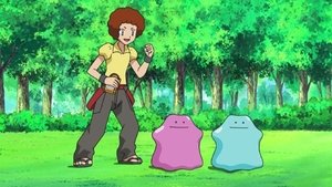 Pokémon Dealing With a Fierce Double Ditto Drama!