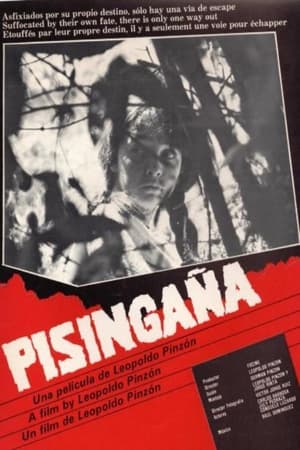 Poster Pisingaña 1986