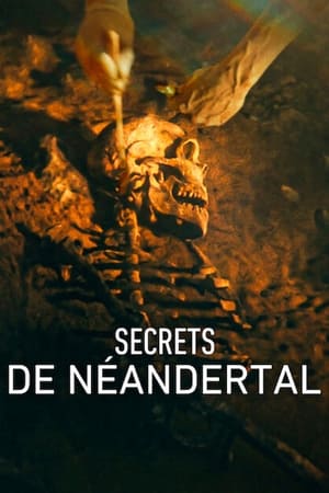 Poster Secrets de Néandertal 2024