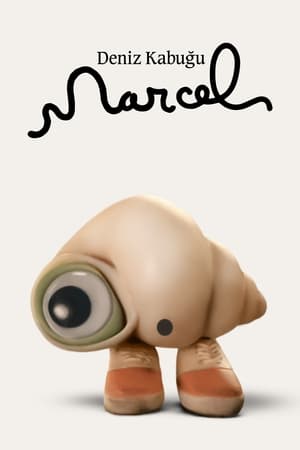 Poster Deniz Kabuğu Marcel 2022