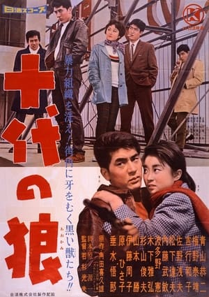 Poster 十代の狼 1960
