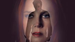 Nocturnal Animals (2016)