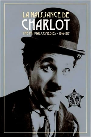 Poster La naissance de Charlot 2013